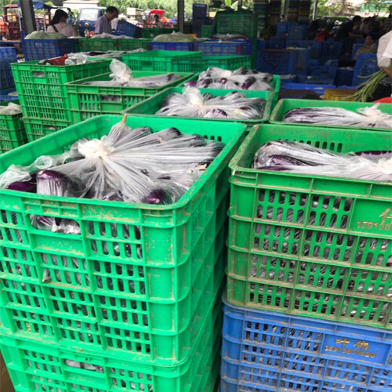 临海蔬菜批发市场的繁荣景象如何？